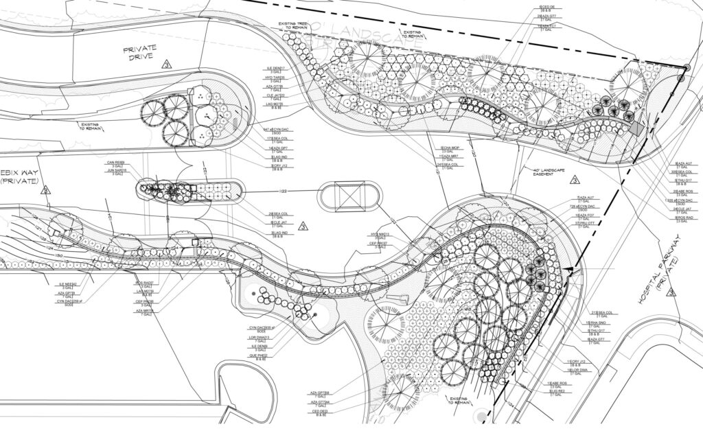 EBIX Entry Area Landscape Plan