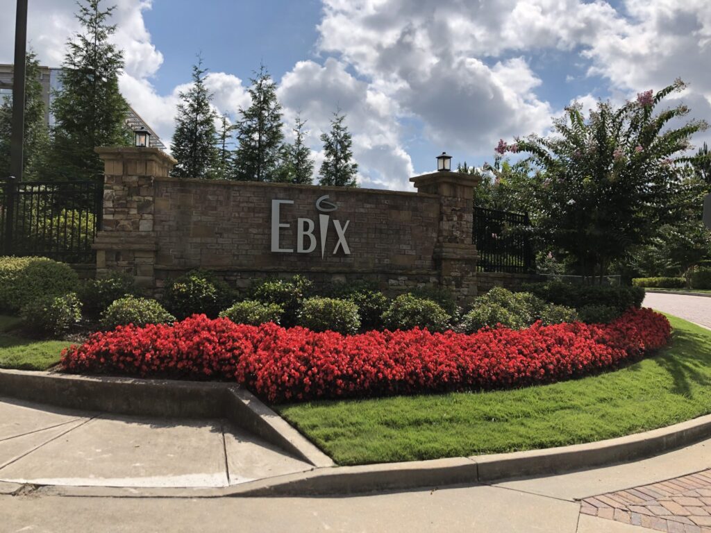 EBIX Entry Area Landscape