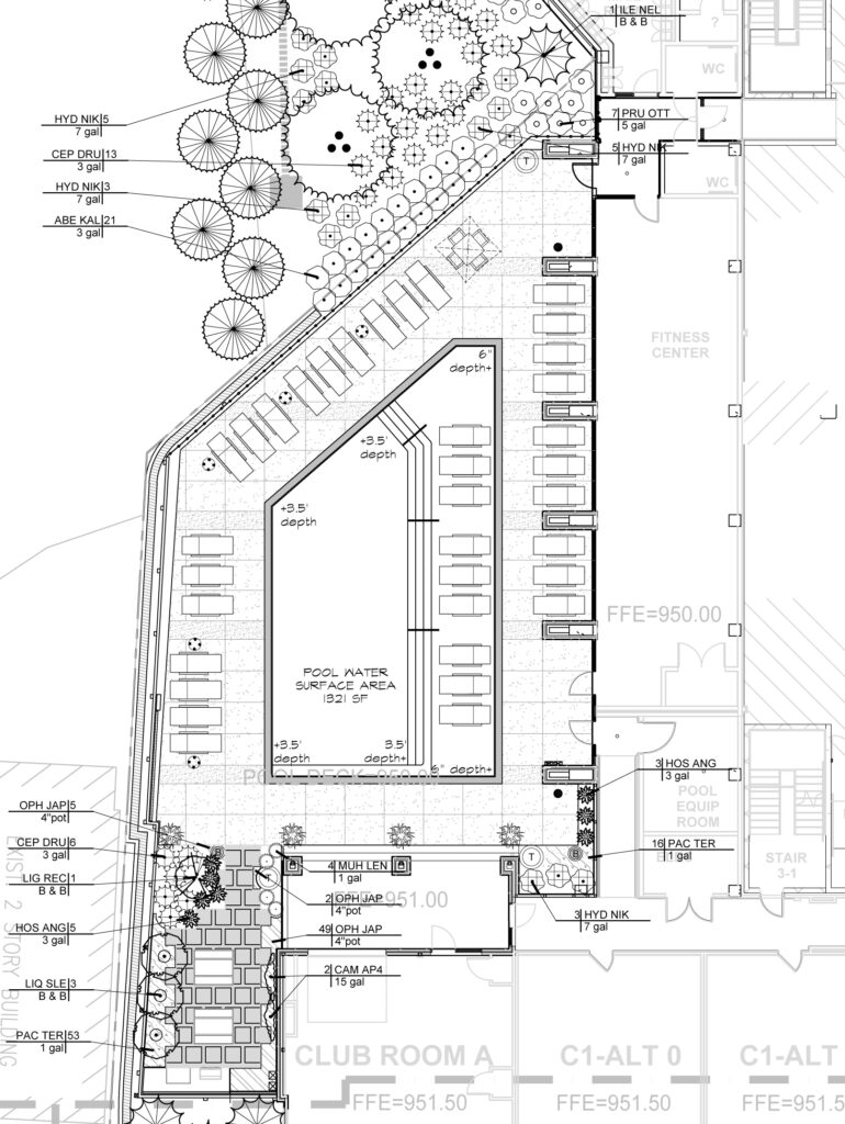 Inman Quarter Pool Landscape Plan